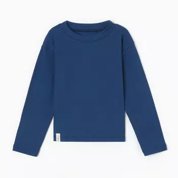 Лонгслив детский KAFTAN Blueberry, размер 28 (86-92 см)