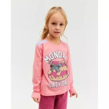 Лонгслив для девочки, цвет розовый, рост 104