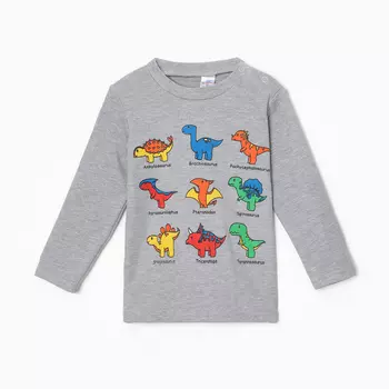 Лонгслив для мальчика, цвет серый меланж , рост 104 см