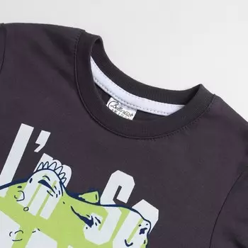 Лонгслив для мальчика, цвет серый, рост 98 см