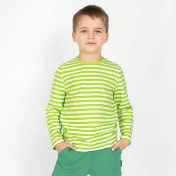 Лонгслив для мальчика, рост 110 см, цвет лайм
