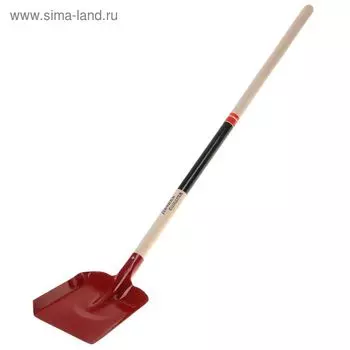 Лопата совковая, L = 137 см, деревянный черенок, «Дачная Соната»