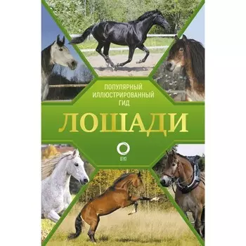 Лошади. Иллюстрированный гид. Спектор А.А.