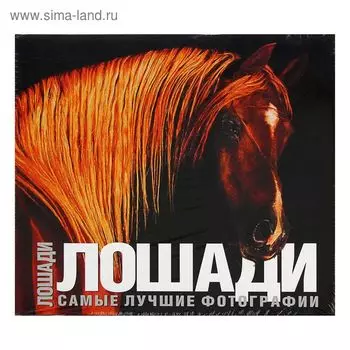 Лошади. Самые лучшие фотографии. Карпенко Т. Н.