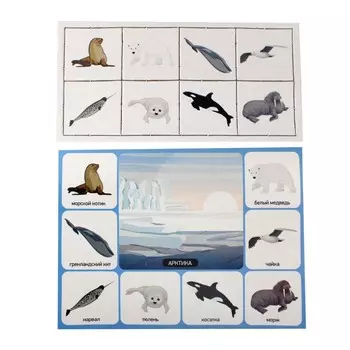 Лото детское «Кто где живет?», большое