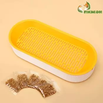 Лоток для проращивания травы для кошек 21 х 9,2 х 4,5 см, с семенами овса, бело-желтый