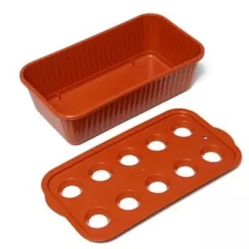 Лоток для выращивания зелёного лука, 29 × 16 × 8.5 см, 10 лунок, терракотовый