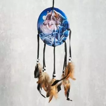 Ловец снов 154 "Взгляд в ночи" круг d=16 см