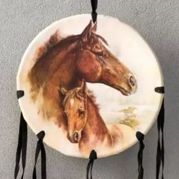 Ловец снов 53 "Лошадь" круг d=16 см