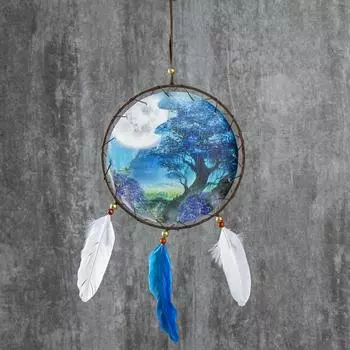 Ловец снов "Лунная ночь" диам 20 см