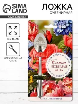 Ложка чайная с гравировкой «Самая любимая жена», 314 см