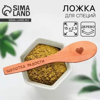 Ложка для специй Дорого внимание «Щепотка радости», дерево, 13 см