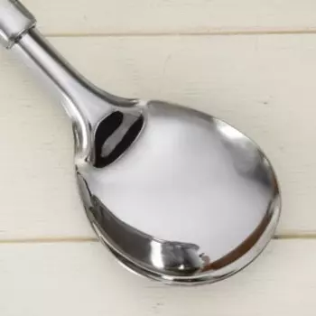 Ложка гарнирная Доляна «Основа», h=25 см, цвет серебряный