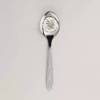 Ложка с гравировкой «Зимние узоры», 3 х 13.7 см