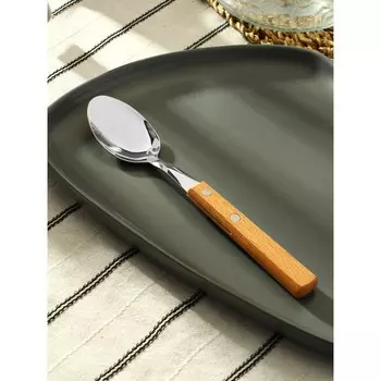 Ложка столова «Эко-стейк», длина 19.5 см, толщина 1.5 мм, нержавеющая сталь, деревянная ручка, ручка, МИКС