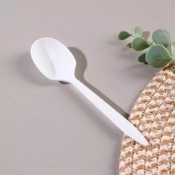 Ложка столовая одноразовая «БИО ЭКО стандарт S», 143,5 см, цвет микс