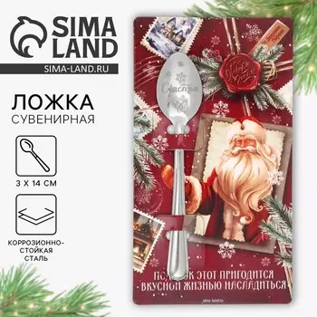 Ложка сувенирная на открытке «Подарок этот пригодится», 314 см