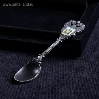 Ложка сувенирная «Курск. Арка», металл