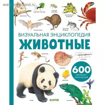 Любимая детская энциклопедия. Животные. Визуальная энциклопедия. Бадреддин Д.