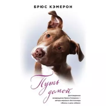 ЛюдИхПит. Путь домой. Кэмерон Б.