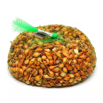 Лук севок Штутгартен ризен , р-р 18-21 1 кг, Весна 2025