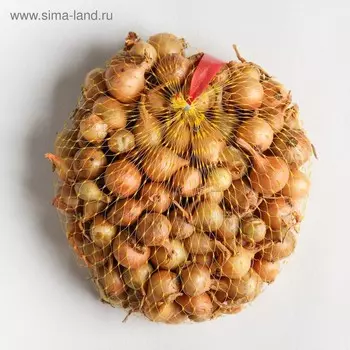 Лук-севок "Штутгартен ризен", р.р. 9/21, 0,5 кг (+/- 10%), Чувашия