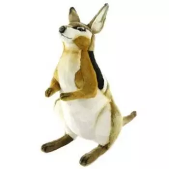 Луннокоготный валлаби, 40 см