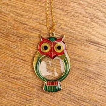 Лупа-подвеска "Сова" 5х, d=30мм