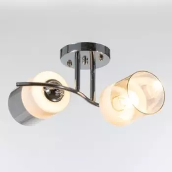 Люстра 1110/2CR E27 40Вт хром 30х28х18 см BayerLux