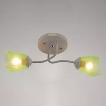 Люстра 1341002/2GN E27 15Вт белый-зеленый BayerLux