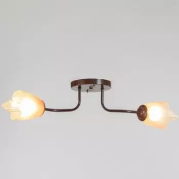 Люстра «1341003/2BR» BayerLux, E27 15 Вт, коричневый