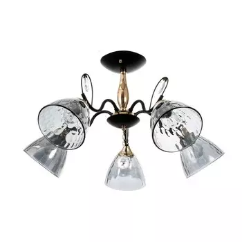 Светильник потолочный BayerLux «Анабель», 5хЕ27, 40 Вт, чёрный, 656533 см