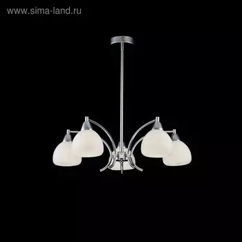 Люстра Cindy, 5x40Вт E14, цвет хром