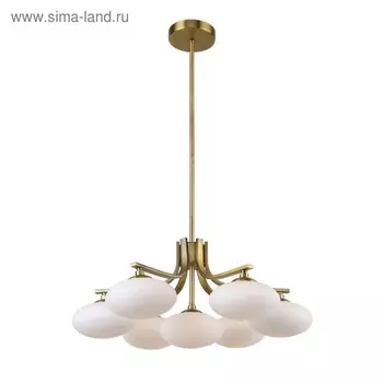 Люстра Pernetti, 7x40Вт G9, цвет латунь