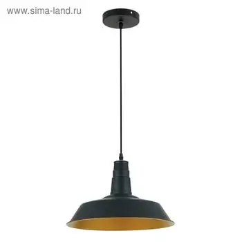 Люстра подвес KASL 1x60W E27, чёрный, золотой 36x36 см