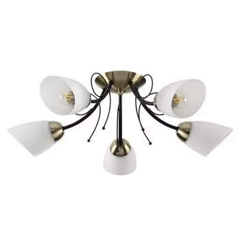 Люстра потолочная Eliana 5x40W E27 22x22 см