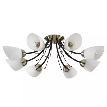 Люстра потолочная Eliana 8x40W E27 27x27 см