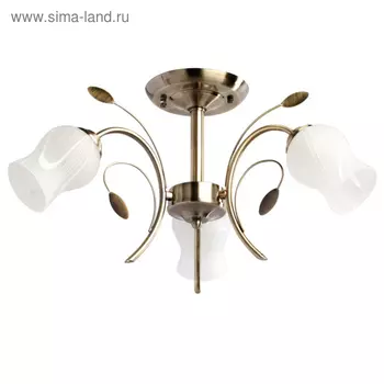 Люстра потолочная «Флора», 3x60W E14, античная бронза 50x50x27 см