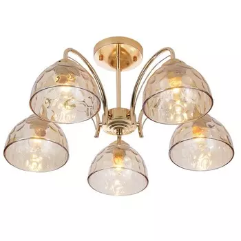 Люстра Rivoli Terri 9172-305 5хЕ27, 40Вт