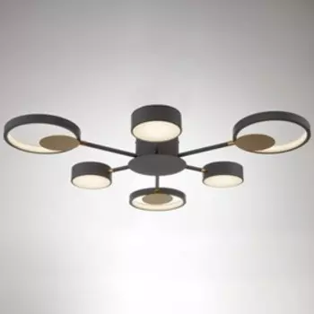 Люстра с ПДУ 2301/6GR LED 120Вт 3000-6000К серый 75х75х8 см BayerLux