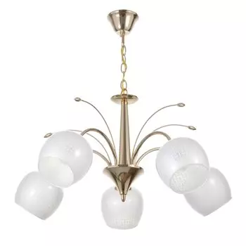 Люстра «Соната» 5хЕ27 40 Вт золото 656533-54 BayerLux