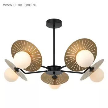 Люстра Sonnenblume, 5x25Вт G9, цвет чёрный