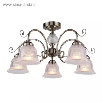 Люстра Vetus, 5x40Вт E14, цвет бронза