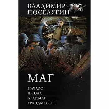 Маг. Поселягин Владимир Геннадьевич