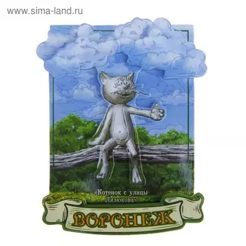 Магнит многослойный «Воронеж»