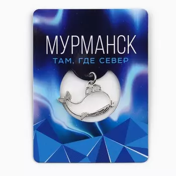 Магнит «Мурманск», 6 х 8 см