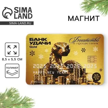 Магнит новогодний «Богатства», 8,5 х 5,5 см