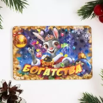 Магнит новогодний "Символ года 2023. Богатства"