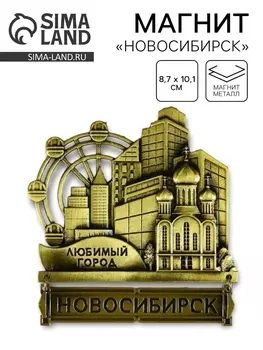 Магнит «Новосибирск», 8.710.1 см