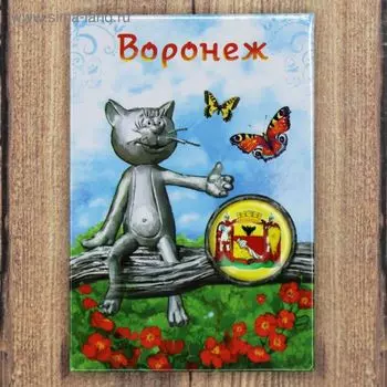 Магнит-оберег «Воронеж»